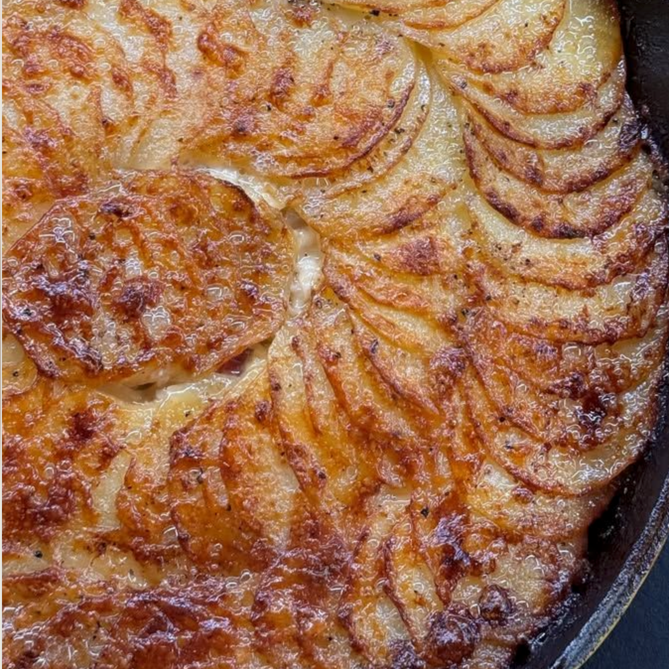 GRATIN DAUPHINOIS AUX CÈPES ⋅ 5-6 personnes