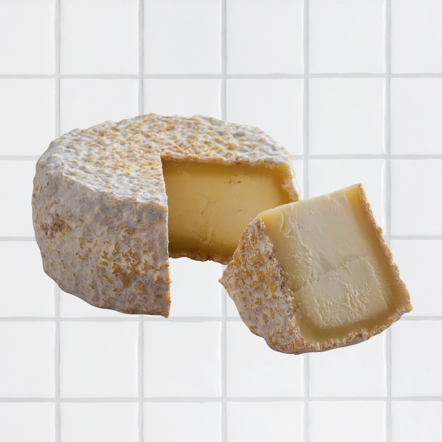 SELECTION OF GOAT CHEESES