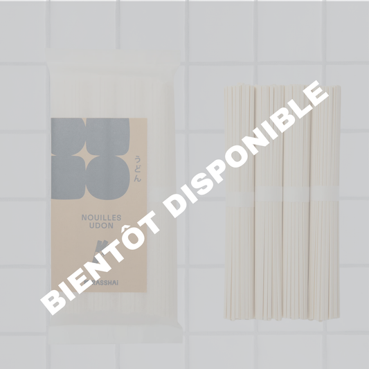 UDON NOODLES